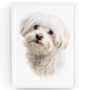 Watercolor White Maltese Dog Portrait Wall Art Print Poster, Unframed